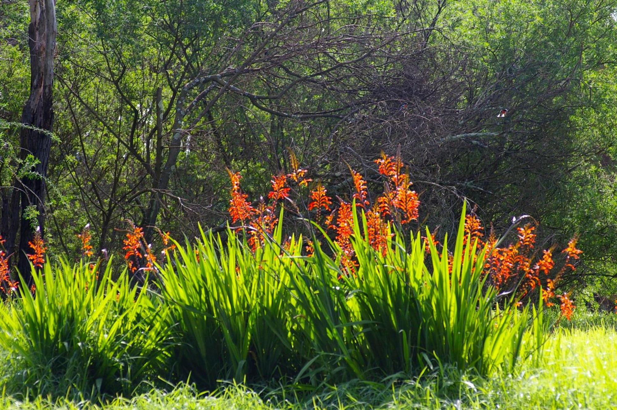 มาร์กาเร็ต อิน ทาวน์ อพาร์ตเมนต์ Aparthotel Margaret River ภายนอก รูปภาพ